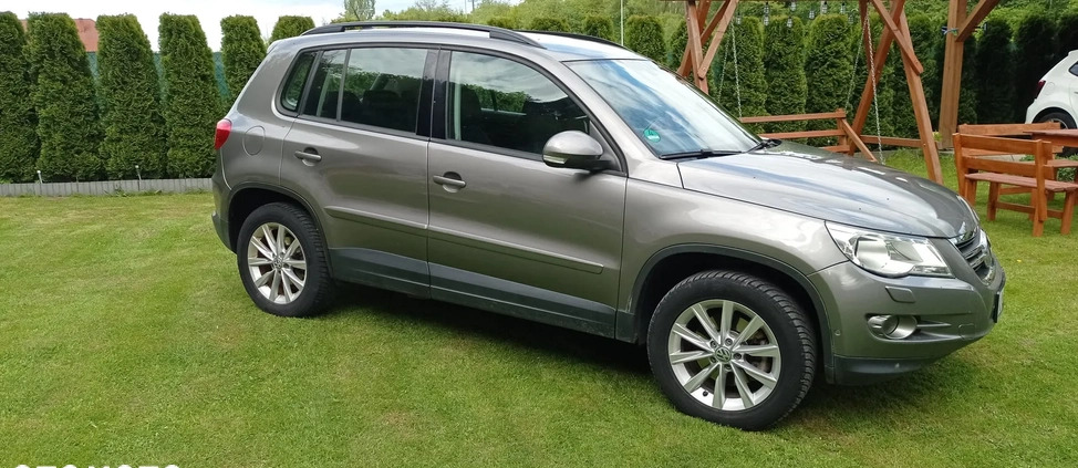 Volkswagen Tiguan cena 28300 przebieg: 275000, rok produkcji 2008 z Ostrów Wielkopolski małe 154